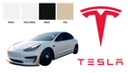 Tesla infärgningskit