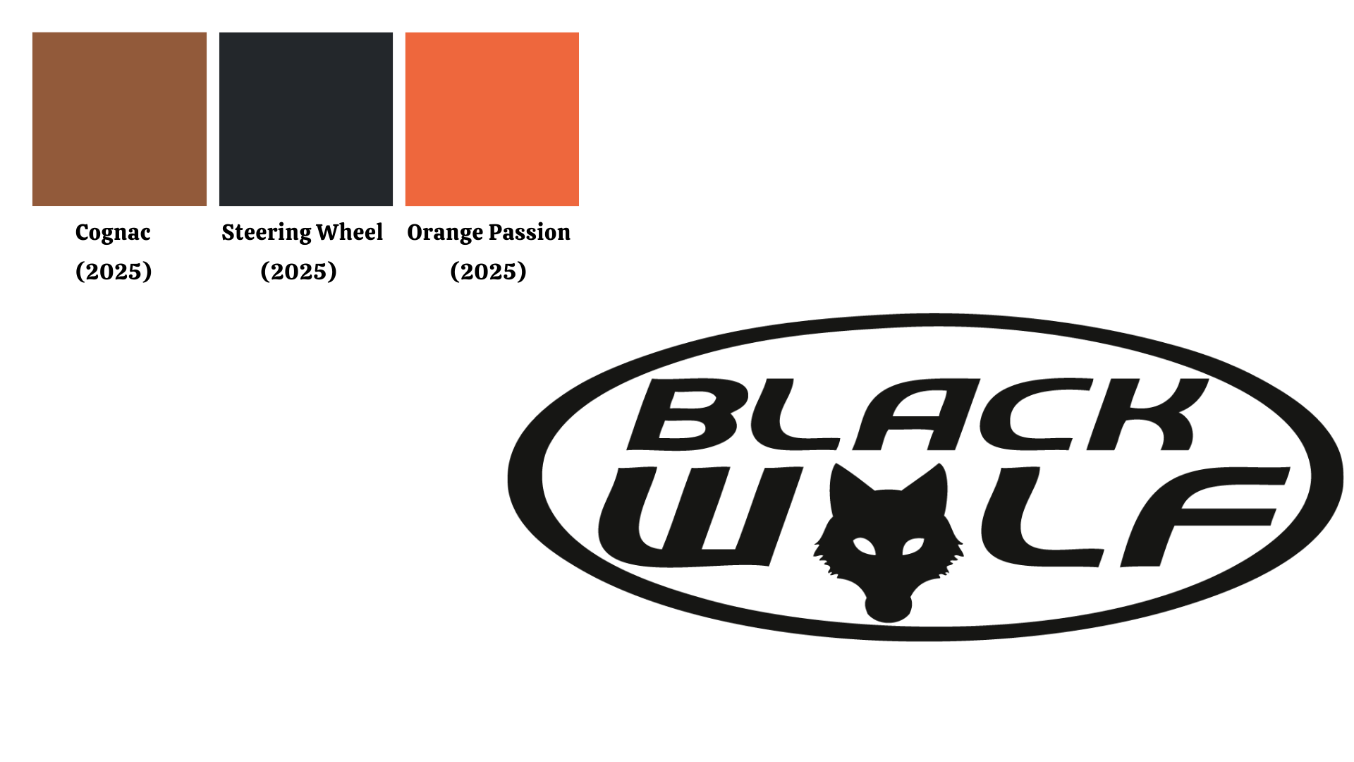 Black Wolf Infärgningskit