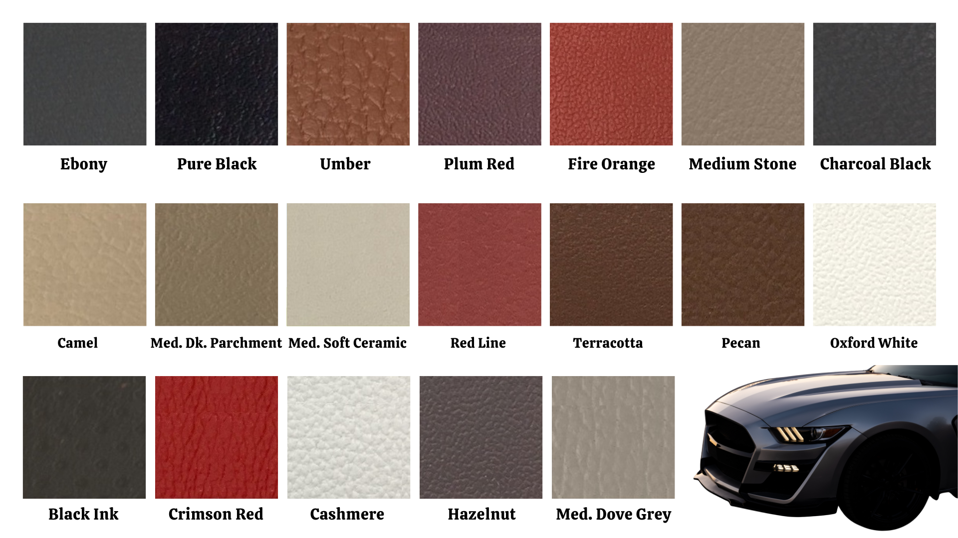 Ford Mustang infärgningskit