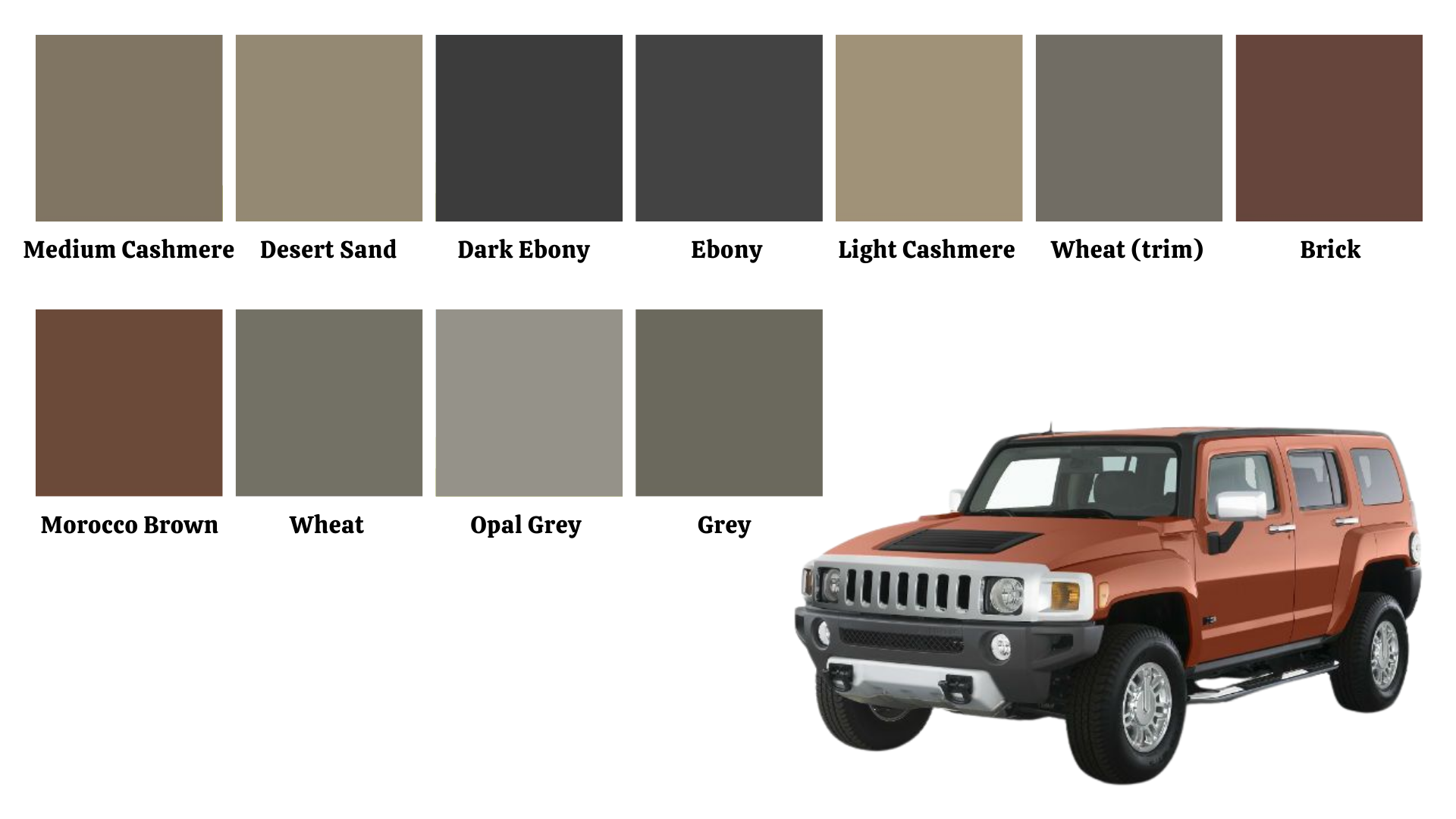 Hummer infärgningskit