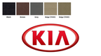 KIA infärgningskit