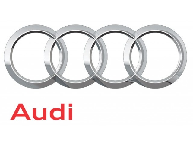 Audi Läder & Vinylfärg (Promax color)