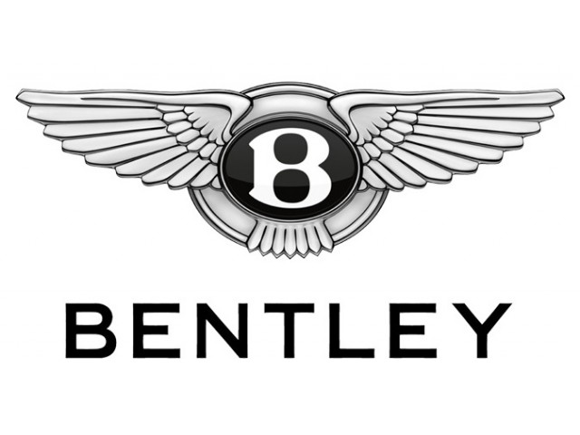 Bentley Läder & Vinylfärg (Promax color)