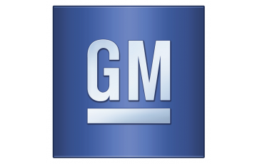 GM Läder & Vinylfärg (Promax color)