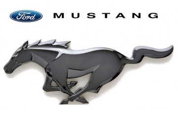 Ford Mustang Läder & Vinylfärg