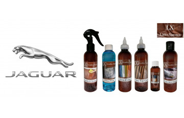 Läder & Vinylfärg till Jaguar - LX