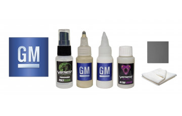GM touch up kit